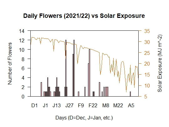 Flowers vs Solar Exposure